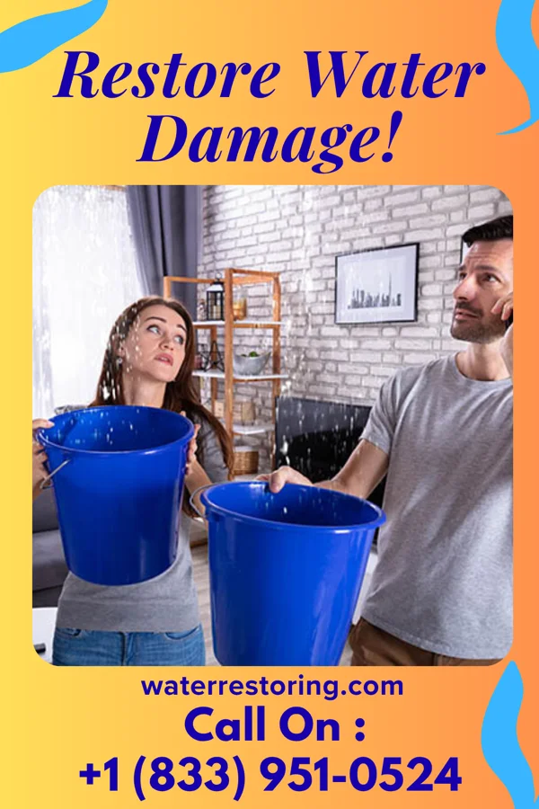 water restoration First Water Mitigation Force Boone