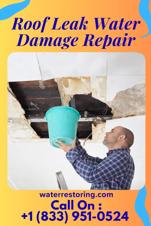 Roof Leak Water Damage Repair in Boone, CO
